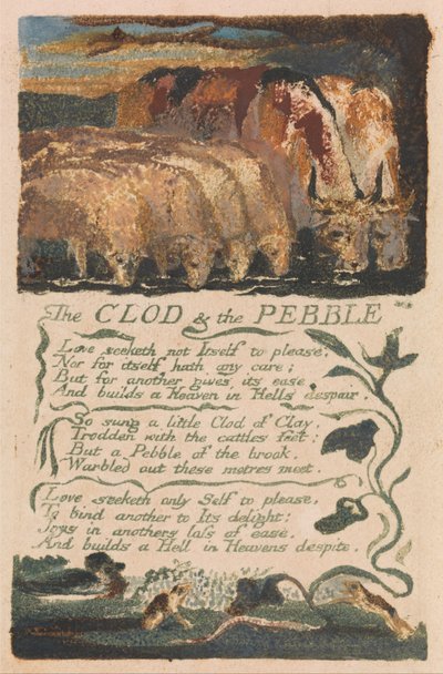 Songs of Innocence and of Experience, Plate 36, The Clod and the Pebble (Bentley 32) by William Blake